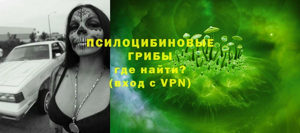 соль ск Балахна