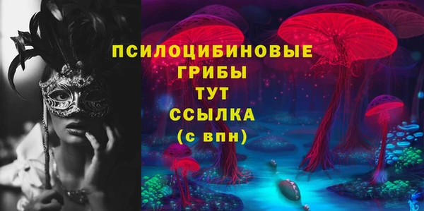 соль ск Балахна