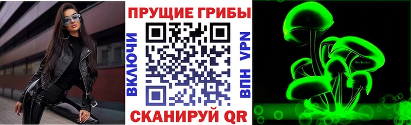 Галлюциногенные грибы мухоморы  наркотики  Пущино 